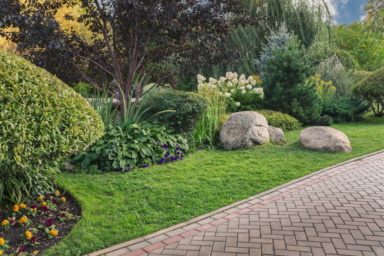 Planting & Garden Design